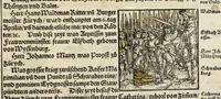 Picture 66 of 76 from Gemeiner loblicher Eydgnoschafft Stetten, Landen vnd Völckeren Chronick wirdiger Thaaten Beschreybung : hieriñ wirt auch die Gelegenheit der gantzen Europe : item ein kurtzuer griffne Chronica Germanie oder Teütschlands : in sonders aber ein fleyssige histori vnd ordenliche Beschreybung Gallie oder Franckrychs fürgestellt : darauff deñ obgedachte der Eydgnoschafft Beschreybung volget ... (1548), leaf 501