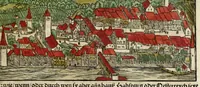 Picture 75 of 76 from Gemeiner loblicher Eydgnoschafft Stetten, Landen vnd Völckeren Chronick wirdiger Thaaten Beschreybung : hieriñ wirt auch die Gelegenheit der gantzen Europe : item ein kurtzuer griffne Chronica Germanie oder Teütschlands : in sonders aber ein fleyssige histori vnd ordenliche Beschreybung Gallie oder Franckrychs fürgestellt : darauff deñ obgedachte der Eydgnoschafft Beschreybung volget ... (1548), leaf 551