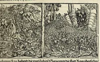 Picture 12 of 76 from Gemeiner loblicher Eydgnoschafft Stetten, Landen vnd Völckeren Chronick wirdiger Thaaten Beschreybung : hieriñ wirt auch die Gelegenheit der gantzen Europe : item ein kurtzuer griffne Chronica Germanie oder Teütschlands : in sonders aber ein fleyssige histori vnd ordenliche Beschreybung Gallie oder Franckrychs fürgestellt : darauff deñ obgedachte der Eydgnoschafft Beschreybung volget ... (1548), leaf 87