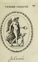 Picture 120 of 272 from Gemmae et sculpturae antiquae (1694), leaf 362