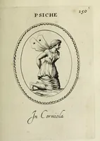 Picture 155 of 272 from Gemmae et sculpturae antiquae (1694), leaf 432