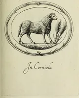 Picture 180 of 272 from Gemmae et sculpturae antiquae (1694), leaf 482
