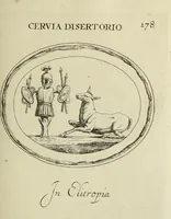 Picture 183 of 272 from Gemmae et sculpturae antiquae (1694), leaf 488