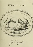 Picture 187 of 272 from Gemmae et sculpturae antiquae (1694), leaf 496