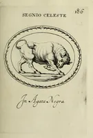 Picture 191 of 272 from Gemmae et sculpturae antiquae (1694), leaf 504