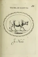 Picture 193 of 272 from Gemmae et sculpturae antiquae (1694), leaf 508