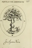 Picture 202 of 272 from Gemmae et sculpturae antiquae (1694), leaf 526