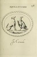 Picture 203 of 272 from Gemmae et sculpturae antiquae (1694), leaf 528