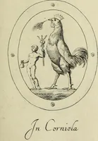 Picture 204 of 272 from Gemmae et sculpturae antiquae (1694), leaf 530