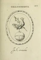 Picture 205 of 272 from Gemmae et sculpturae antiquae (1694), leaf 532