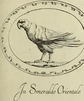 Picture 206 of 272 from Gemmae et sculpturae antiquae (1694), leaf 534