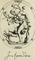 Picture 227 of 272 from Gemmae et sculpturae antiquae (1694), leaf 652