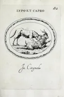 Picture 26 of 38 from Gemmae et sculpturae antiquae depictae ab Leonardo Augustino Senensi : addita earum enarratione (1685), leaf 505