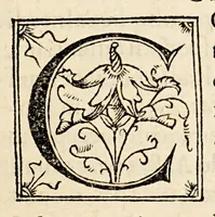 Picture 12 of 16 from Gemmae Frisii medici et mathematici De radio astronomico & geometrico liber. : in quo multa quae ad geographia[m], opticam, geometriam & astronomiam vtiliss. sunt, demonstrantur. Illustriss[imi] comiti de Feria dicatus (1545), leaf 107