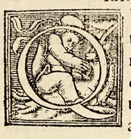 Picture 13 of 16 from Gemmae Frisii medici et mathematici De radio astronomico & geometrico liber. : in quo multa quae ad geographia[m], opticam, geometriam & astronomiam vtiliss. sunt, demonstrantur. Illustriss[imi] comiti de Feria dicatus (1545), leaf 119