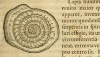 An illustration from Gemmarum et lapidum historia (1647)