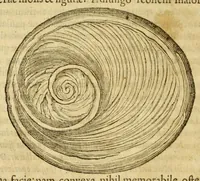 Picture 4 of 59 from Gemmarum et lapidum historia (1647), leaf 178