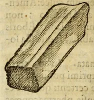 Picture 8 of 59 from Gemmarum et lapidum historia (1647), leaf 188