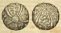 An illustration from Gemmarum et lapidum historia (1647)