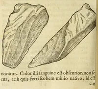 An illustration from Gemmarum et lapidum historia (1647)