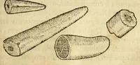 Picture 55 of 59 from Gemmarum et lapidum historia (1647), leaf 775