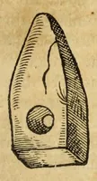 Picture 57 of 59 from Gemmarum et lapidum historia (1647), leaf 781