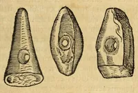 An illustration from Gemmarum et lapidum historia (1647)