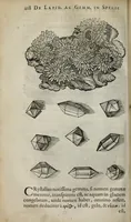 An illustration from Gemmarum et lapidum historia. (1636)