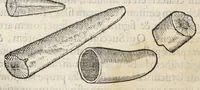 An illustration from Gemmarum et lapidum historia. (1636)