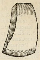 An illustration from Gemmarum et lapidum historia. (1636)