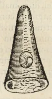 An illustration from Gemmarum et lapidum historia. (1636)