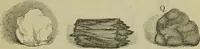 An illustration from The gems of masonry : emblematic and descriptive (1859)