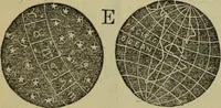 Picture 28 of 71 from The gems of masonry : emblematic and descriptive (1859), leaf 32