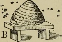 Picture 40 of 71 from The gems of masonry : emblematic and descriptive (1859), leaf 45
