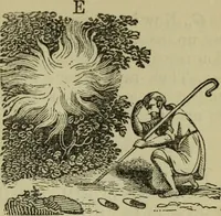 Picture 60 of 71 from The gems of masonry : emblematic and descriptive (1859), leaf 60