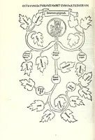 Picture 12 of 20 from Genealogiae Joannis Boccatii : cum demonstrationibus in formis arborũ designatis : eiusdẽ de mõtibus [et] syluis, de fontibus, lacubus [et] fluminibus : ac etiã de stagnis [et] paludibus, necnon [et] de maribus, seu diuersis maris nominibus (1511), leaf 130