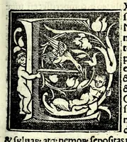 An illustration from Genealogiae Joannis Boccatii : cum demonstrationibus in formis arborũ designatis : eiusdẽ de mõtibus [et] syluis, de fontibus, lacubus [et] fluminibus : ac etiã de stagnis [et] paludibus, necnon [et] de maribus, seu diuersis maris nominibus (1511)