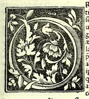 An illustration from Genealogiae Joannis Boccatii : cum demonstrationibus in formis arborũ designatis : eiusdẽ de mõtibus [et] syluis, de fontibus, lacubus [et] fluminibus : ac etiã de stagnis [et] paludibus, necnon [et] de maribus, seu diuersis maris nominibus (1511)