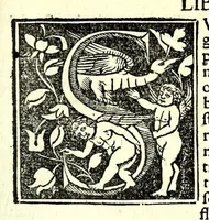 An illustration from Genealogiae Joannis Boccatii : cum demonstrationibus in formis arborũ designatis : eiusdẽ de mõtibus [et] syluis, de fontibus, lacubus [et] fluminibus : ac etiã de stagnis [et] paludibus, necnon [et] de maribus, seu diuersis maris nominibus (1511)