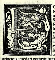 Picture 4 of 20 from Genealogiae Joannis Boccatii : cum demonstrationibus in formis arborũ designatis : eiusdẽ de mõtibus [et] syluis, de fontibus, lacubus [et] fluminibus : ac etiã de stagnis [et] paludibus, necnon [et] de maribus, seu diuersis maris nominibus (1511), leaf 41