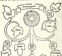 Picture 5 of 20 from Genealogiae Joannis Boccatii : cum demonstrationibus in formis arborũ designatis : eiusdẽ de mõtibus [et] syluis, de fontibus, lacubus [et] fluminibus : ac etiã de stagnis [et] paludibus, necnon [et] de maribus, seu diuersis maris nominibus (1511), leaf 54