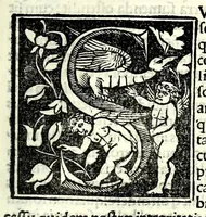 An illustration from Genealogiae Joannis Boccatii : cum demonstrationibus in formis arborũ designatis : eiusdẽ de mõtibus [et] syluis, de fontibus, lacubus [et] fluminibus : ac etiã de stagnis [et] paludibus, necnon [et] de maribus, seu diuersis maris nominibus (1511)