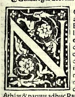 An illustration from Genealogiae Joannis Boccatii : cum demonstrationibus in formis arborũ designatis : eiusdẽ de mõtibus [et] syluis, de fontibus, lacubus [et] fluminibus : ac etiã de stagnis [et] paludibus, necnon [et] de maribus, seu diuersis maris nominibus (1511)