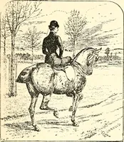 An illustration from A genealogical and heraldic history of the landed gentry of Great Britain & Ireland (1894)