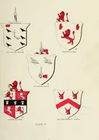 An illustration from A genealogical history of Irish families : with their crests and armorial bearings (1895)