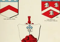 An illustration from A genealogical history of Irish families : with their crests and armorial bearings (1895)