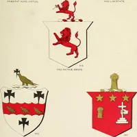 An illustration from A genealogical history of Irish families : with their crests and armorial bearings (1895)