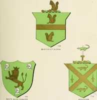 An illustration from A genealogical history of Irish families : with their crests and armorial bearings (1895)