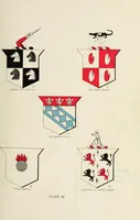 An illustration from A genealogical history of Irish families : with their crests and armorial bearings (1895)