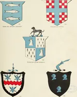 An illustration from A genealogical history of Irish families : with their crests and armorial bearings (1895)